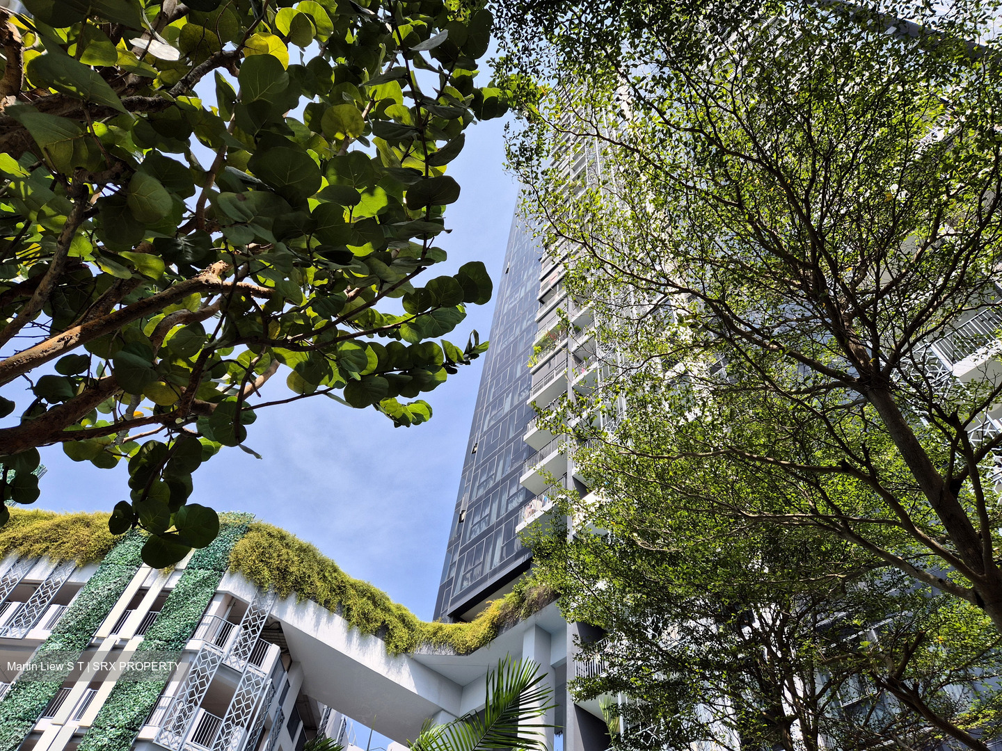 Gem Residences (D12), Condominium #560710481
